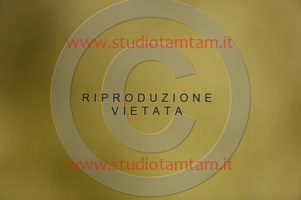 MAT_6847.JPG