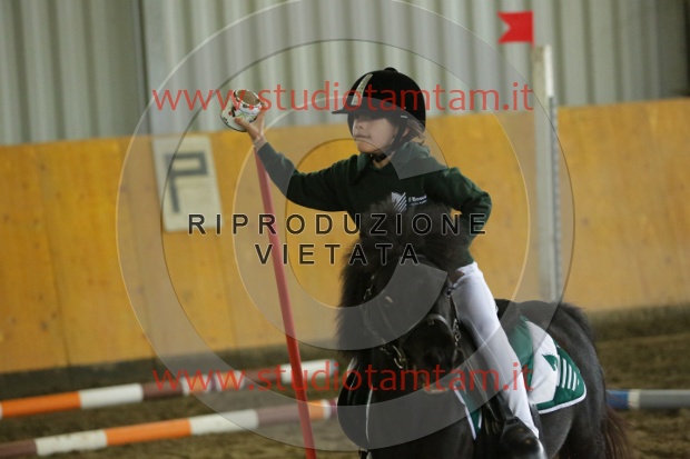 MAT_6864.JPG