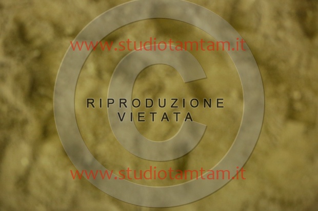 MAT_6869.JPG