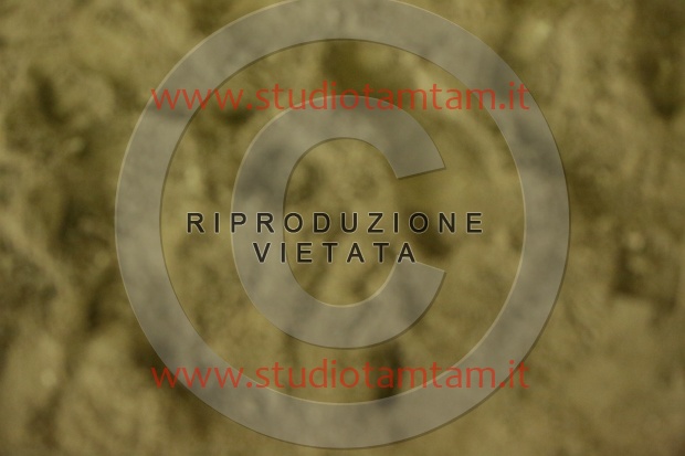 MAT_6870.JPG