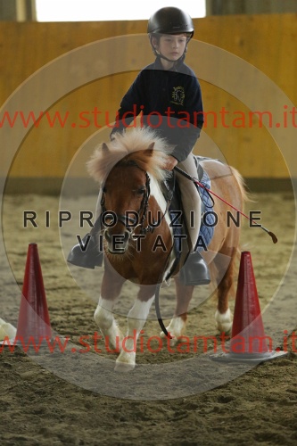 MAT_6874.JPG
