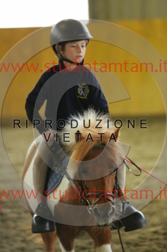 MAT_6876.JPG