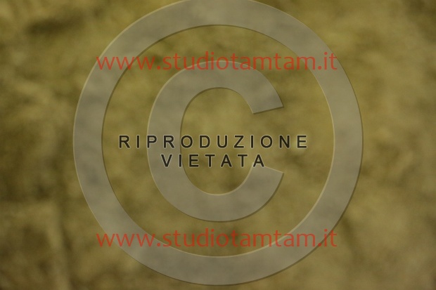 MAT_6890.JPG