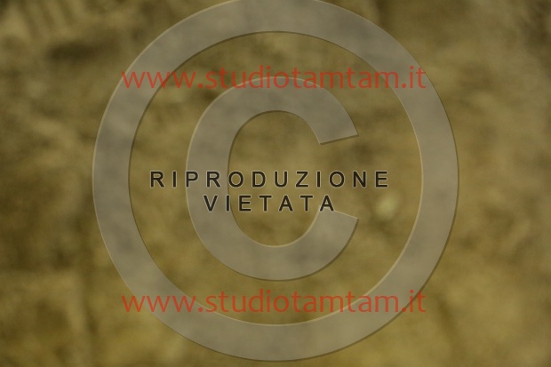 MAT_6891.JPG