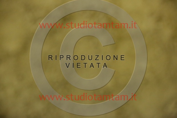 MAT_6894.JPG