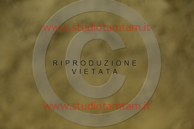 MAT_6895.JPG