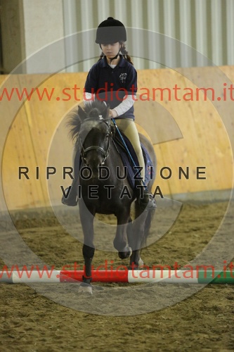 MAT_6906.JPG