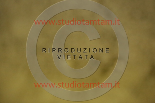 MAT_6921.JPG