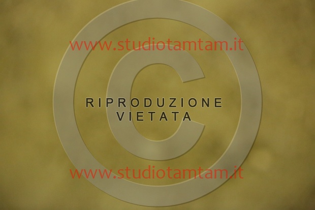 MAT_6922.JPG