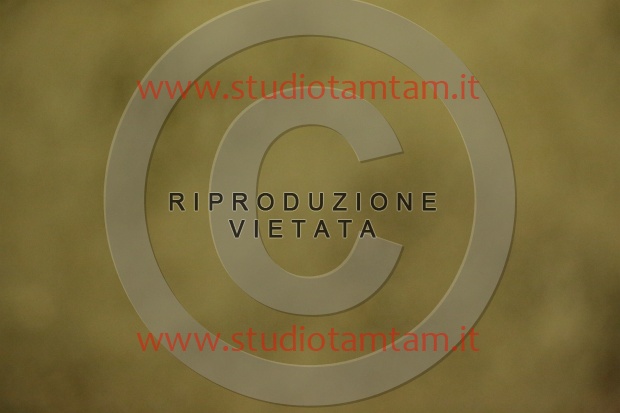 MAT_6923.JPG