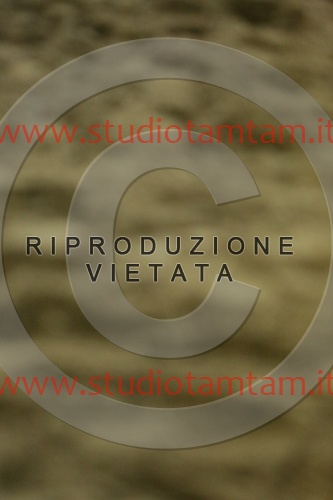 MAT_6973.JPG