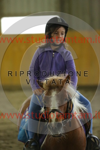 MAT_6977.JPG