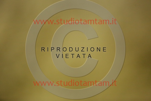 MAT_6995.JPG