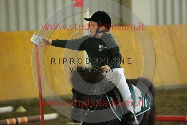 MAT_7009.JPG