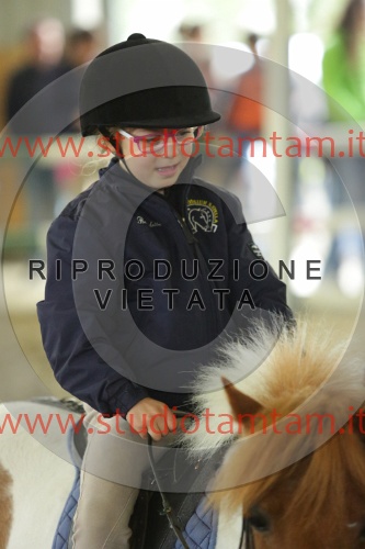 MAT_7020.JPG