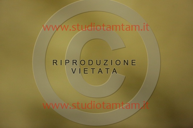 MAT_7040.JPG