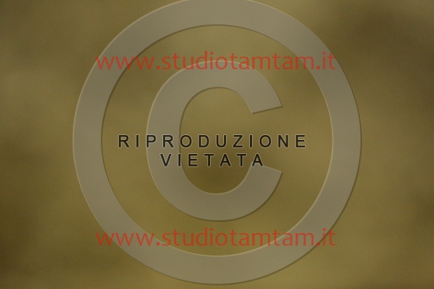 MAT_7041.JPG