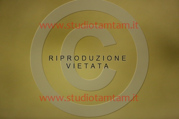 MAT_7042.JPG