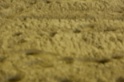 MAT_6706