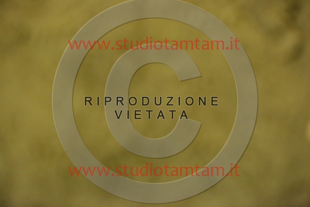 MAT_7062.JPG