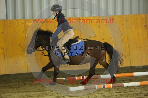 MAT_7086.JPG