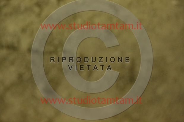 MAT_7122.JPG