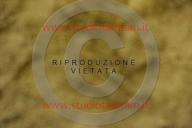 MAT_7171.JPG