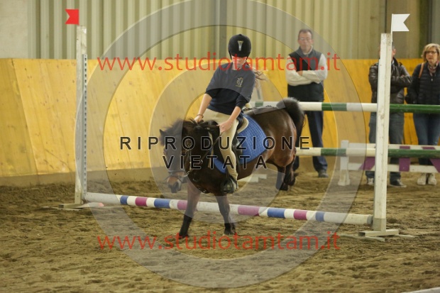 MAT_7309.JPG