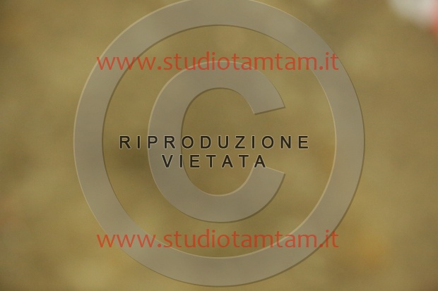 MAT_7562.JPG