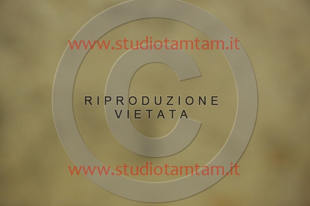 MAT_7610.JPG