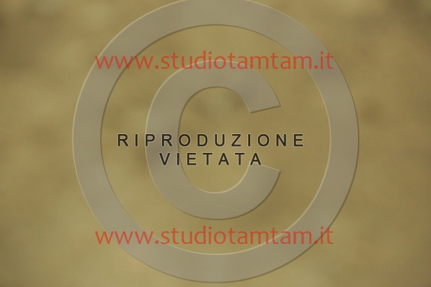 MAT_7676.JPG