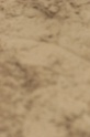 IMGB8492