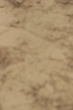IMGB8493