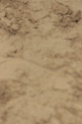 IMGB8494