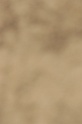 IMGB8526