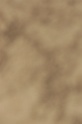 IMGB8527