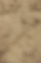 IMGB8548