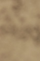 IMGB8549