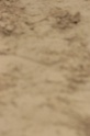 IMGB8569