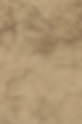 IMGB8571