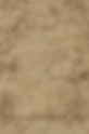IMGB8572