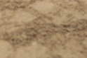 IMGB8573