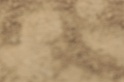 IMGB8574