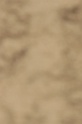 IMGB8599