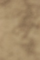 IMGB8633