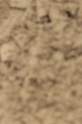 IMGB9163