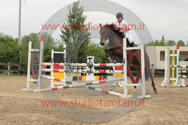IMGB9201.JPG