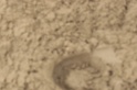 IMGB9190