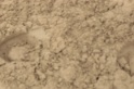 IMGB9220