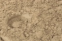 IMGB9221